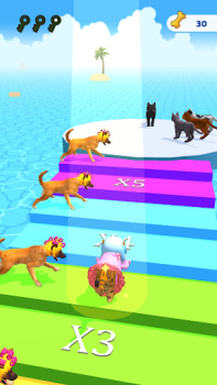 Download Cats run 3D Simulator untuk Android tangkapan layar 2
