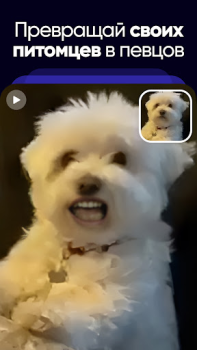 Download Revive: Animation & AI Photos Hiburan untuk Android tangkapan layar 5