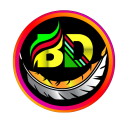 Download  BD NET VPN