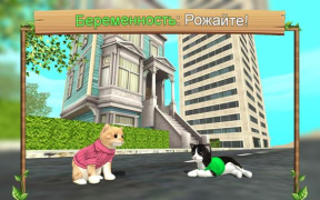 Download Cat Sim Online: Play with Cats Simulator untuk Android tangkapan layar 3