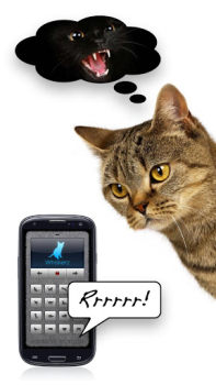 Download Human-to-Cat - Play with your Hiburan untuk Android tangkapan layar 2