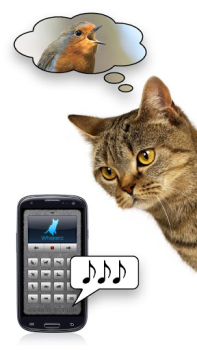 Download Human-to-Cat - Play with your Hiburan untuk Android tangkapan layar 3