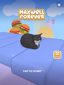 Download Maxwell Forever - Cat Game Petualangan untuk Android tangkapan layar 5