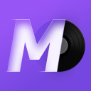 Download  MD Vinyl - Music Player Widget
