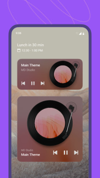 Download MD Vinyl - Music Player Widget Musik dan audio untuk Android tangkapan layar 5