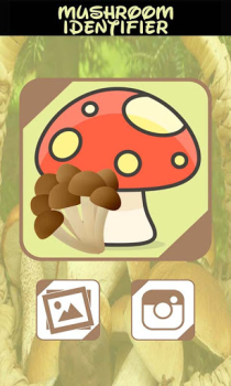 Download Automatic Mushroom Identifier Hiburan untuk Android tangkapan layar 2