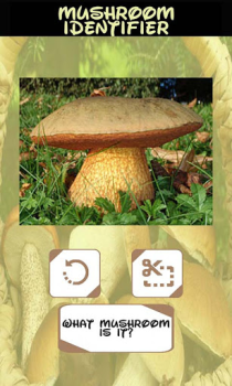 Download Automatic Mushroom Identifier Hiburan untuk Android tangkapan layar 3