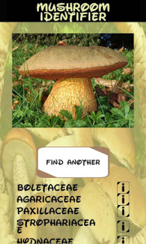 Download Automatic Mushroom Identifier Hiburan untuk Android tangkapan layar 4