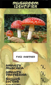 Download Automatic Mushroom Identifier Hiburan untuk Android tangkapan layar 7
