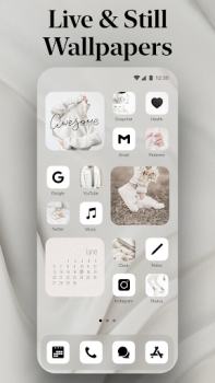 Download Themify: Theme & Icon Changer Personalisasi untuk Android tangkapan layar 6