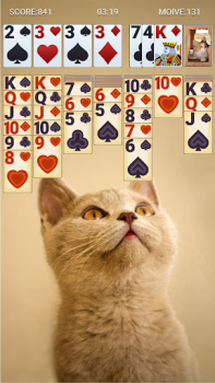 Download Solitaire Classic Permainan papan untuk Android tangkapan layar 6