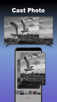 Download Cast to TV - Screen Mirroring Pemutar & Editor Video untuk Android tangkapan layar 5