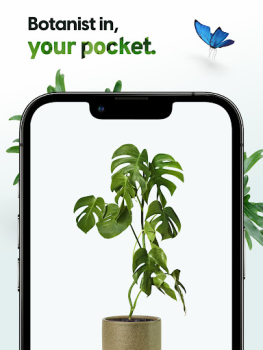 Download Plant App - Plant Identifier Pendidikan untuk Android tangkapan layar 7