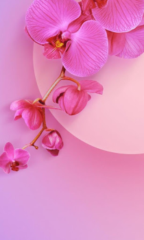 Download Theme for Xiaomi Mi A3 Personalisasi untuk Android tangkapan layar 6