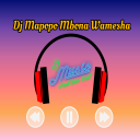 Download  DJ Mapopo mbona Syalala Remix