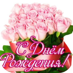 app logo
