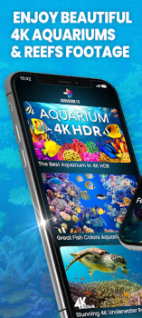 Download Aquariums TV Foto untuk Android tangkapan layar 2