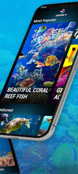 Download Aquariums TV Foto untuk Android tangkapan layar 3
