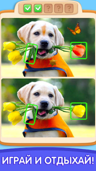 Download Can You Spot It: Differences Teka-teki untuk Android tangkapan layar 3