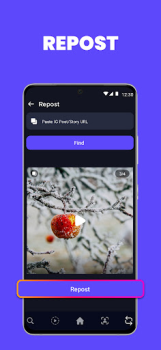 Download Luyo - Analytics for Instagram Sosial untuk Android tangkapan layar 5