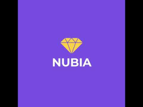 Download Nubia Kerja untuk Android tangkapan layar 8