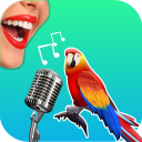 Download  Bird Translator Simulator App