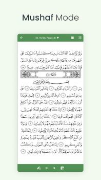 Download Al Quran (Tafsir & by Word) Buku dan Referensi untuk Android tangkapan layar 3