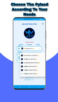 Download AR UDP PRO VPN Alat untuk Android tangkapan layar 3
