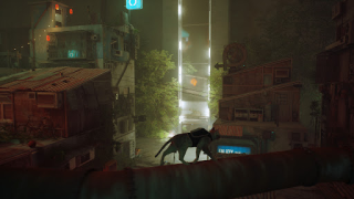 Download Stray Cat Simulator Mobile Simulator untuk Android tangkapan layar 2