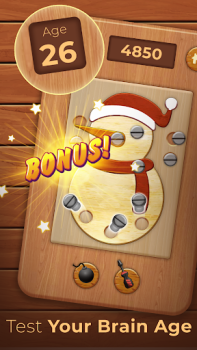 Download Nuts Bolts Wood Puzzle Games Teka-teki untuk Android tangkapan layar 3