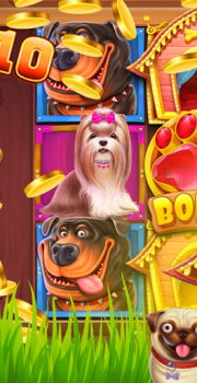 Download The Dog House Kasino untuk Android tangkapan layar 2