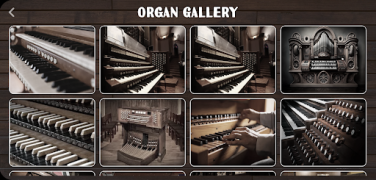 Download Organ Instrument Musik dan audio untuk Android tangkapan layar 7