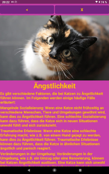 Download Katzen Clicker Training Light Perumahan dan rumah untuk Android tangkapan layar 7