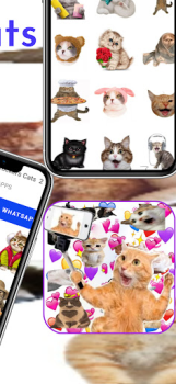 Download WAStickerApps Stickers Cats Komunikasi untuk Android tangkapan layar 4