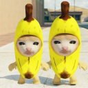 Download  Banana Cat