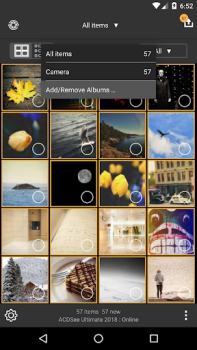 Download ACDSee Mobile Sync Foto untuk Android tangkapan layar 5