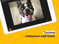 Download АйДаПрикол Hiburan untuk Android tangkapan layar 6
