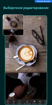 Download Lightroom Photo & Video Editor Foto untuk Android tangkapan layar 7