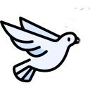 Download  White Bird