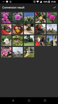 Download Luma: heic to jpg converter Foto untuk Android tangkapan layar 5