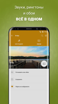 Download Notification Sounds Musik dan audio untuk Android tangkapan layar 4