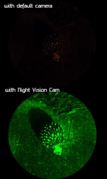 Download Night Vision Cam Alat untuk Android tangkapan layar 4