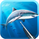 Download  Hunter underwater spearfishing