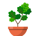 Download  Terrarium: Garden Idle