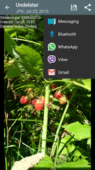 Download Undeleter Recover Files & Data Alat untuk Android tangkapan layar 4
