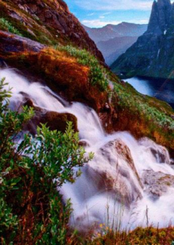 Download Waterfall Live Wallpaper Personalisasi untuk Android tangkapan layar 3
