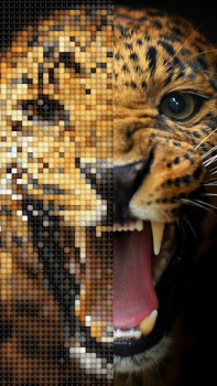 Download Cross Stitch: Color by Number Teka-teki untuk Android tangkapan layar 7