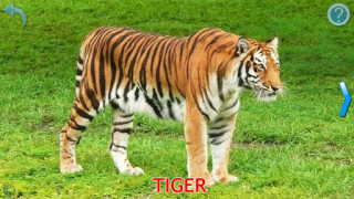 Download Animals for Kids Game Pembelajaran untuk Android tangkapan layar 2