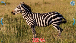 Download Animals for Kids Game Pembelajaran untuk Android tangkapan layar 3