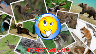 Download Animals for Kids Game Pembelajaran untuk Android tangkapan layar 5
